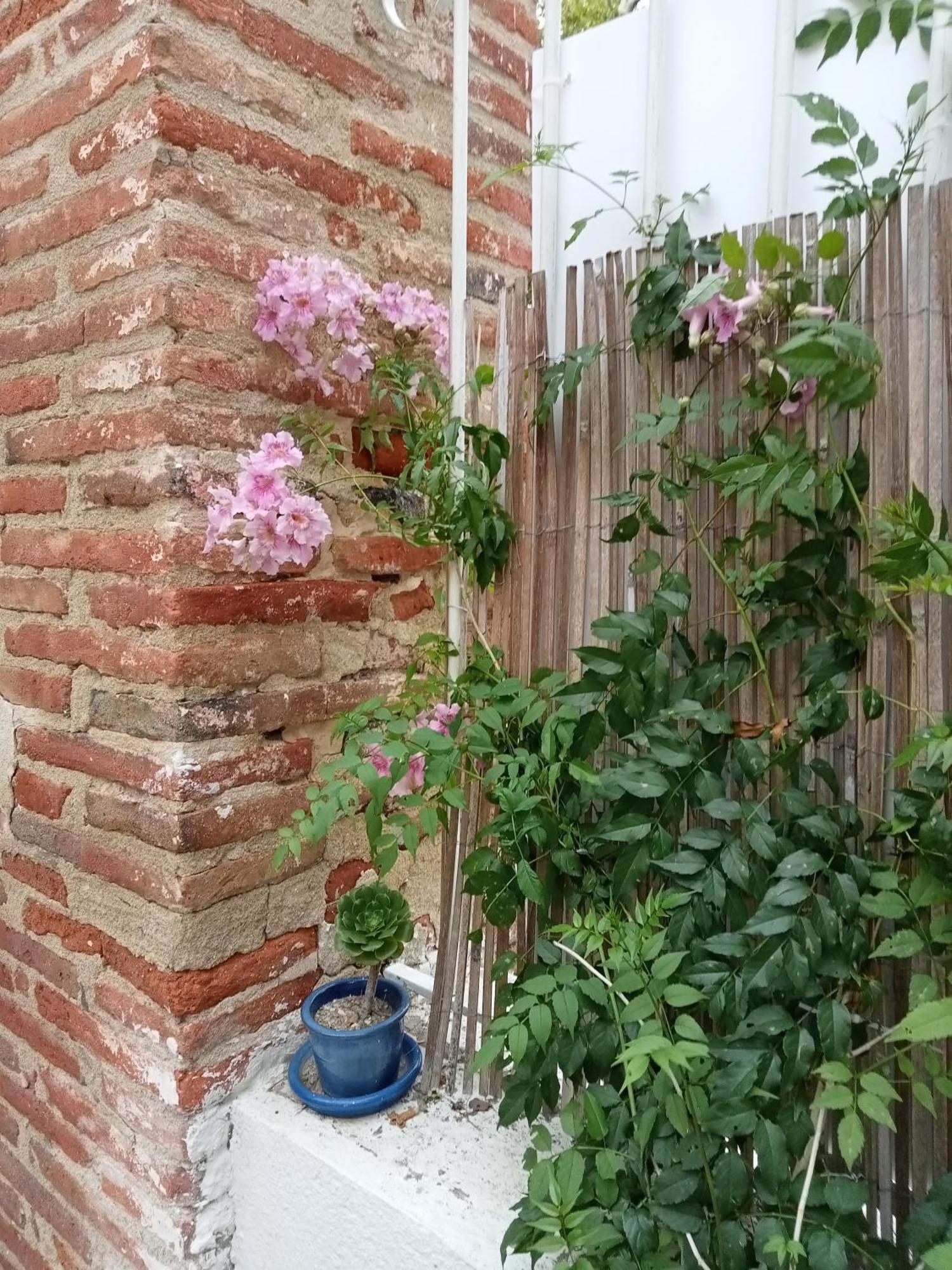 Le Mas Palegry Chambres D'Hotes Perpignan Exteriör bild